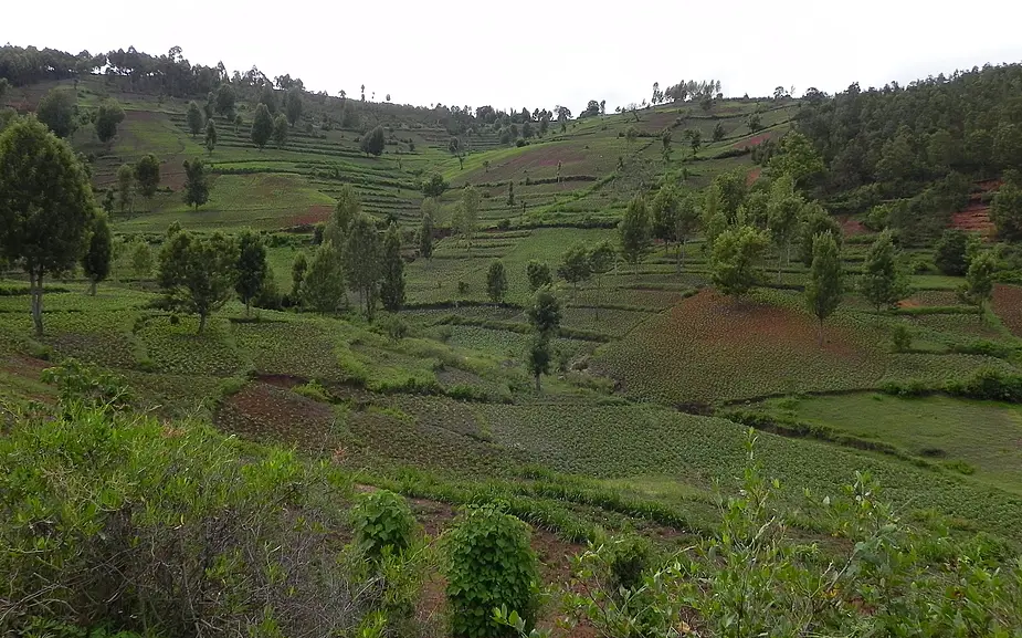 FelderindenUsambaraMountains.jpg