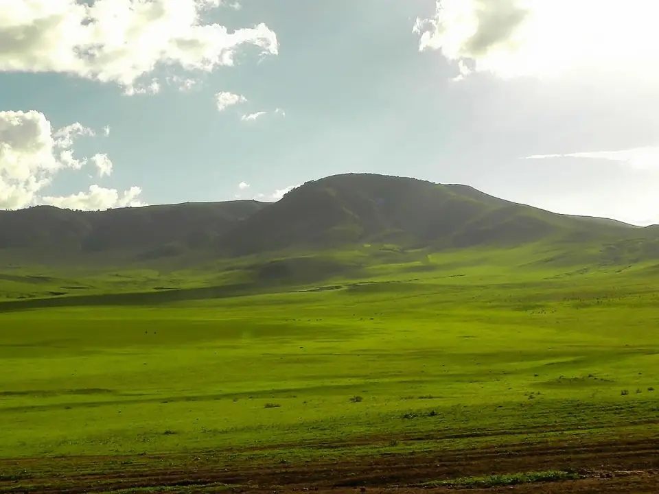 MassaiweidenamNgorongoro-Crater.jpg