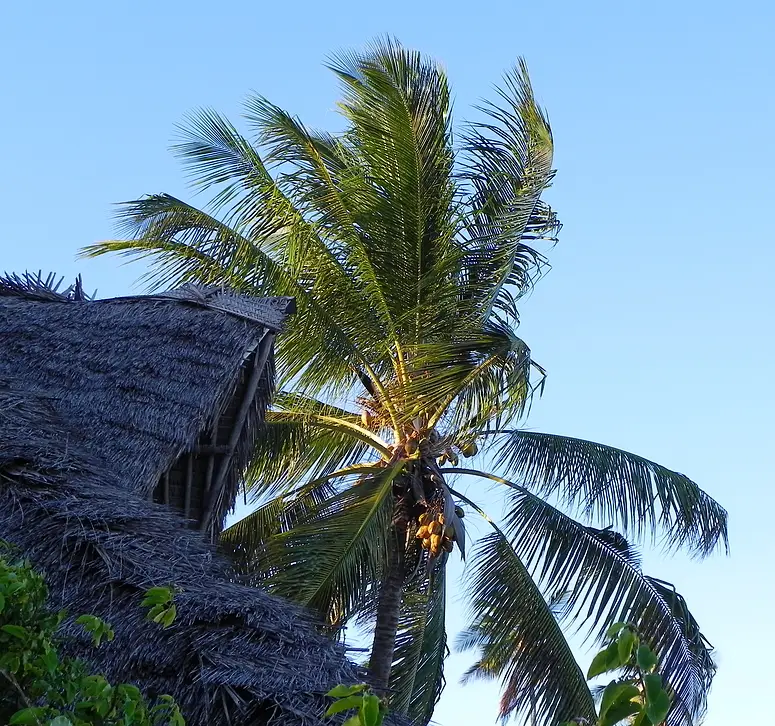 PalmeBeachCrabResort.jpg