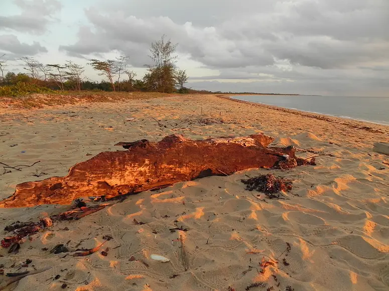 SaadaniStrand.jpg