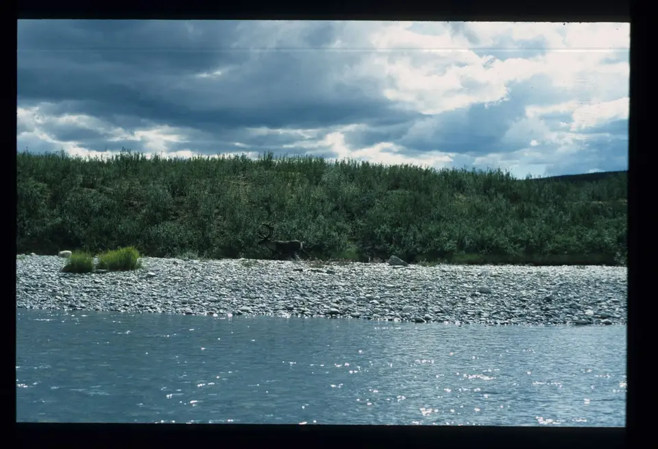 SouthNahanni049.jpg