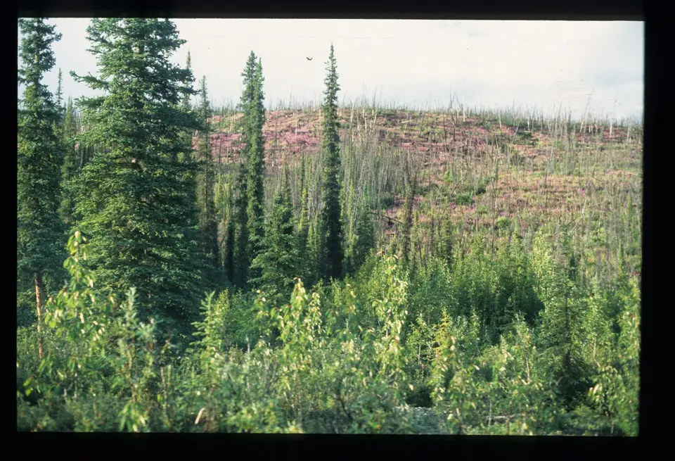 SouthNahanni072.jpg