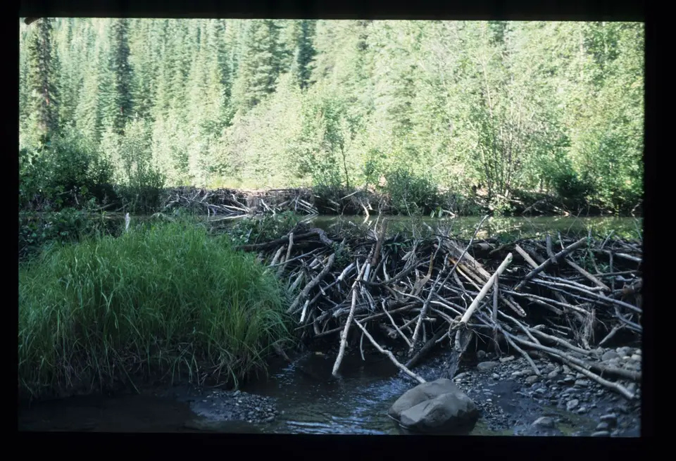 SouthNahanni108.jpg