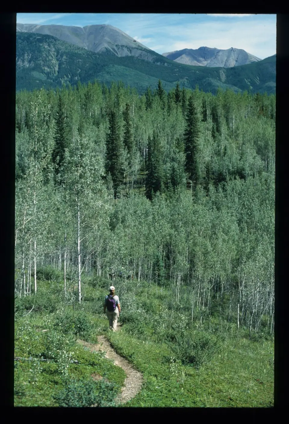 SouthNahanni162.jpg