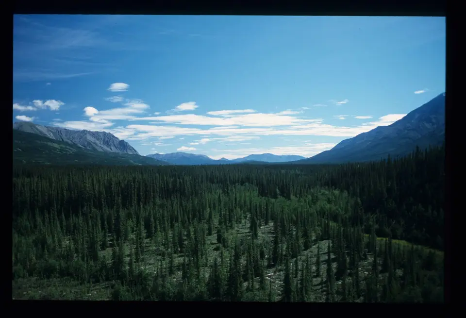 SouthNahanni165.jpg