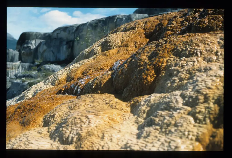 SouthNahanni177.jpg