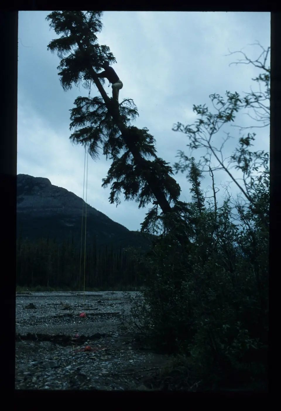 SouthNahanni204.jpg