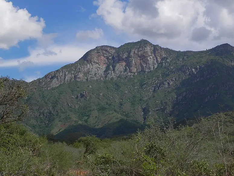 WestUsambaraMountain.jpg