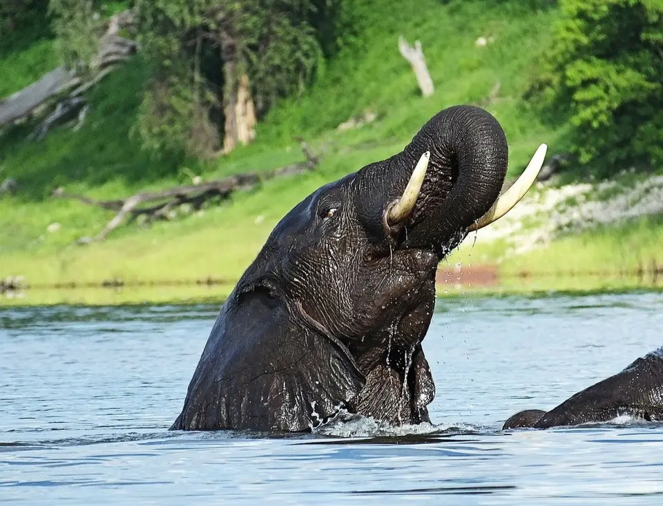 h13d7e3a.jpg