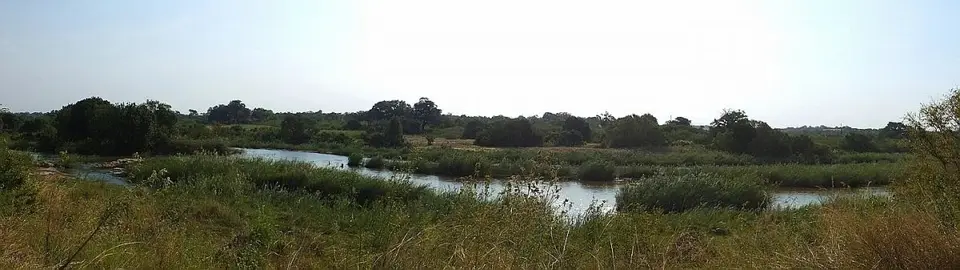h1e49225.JPG