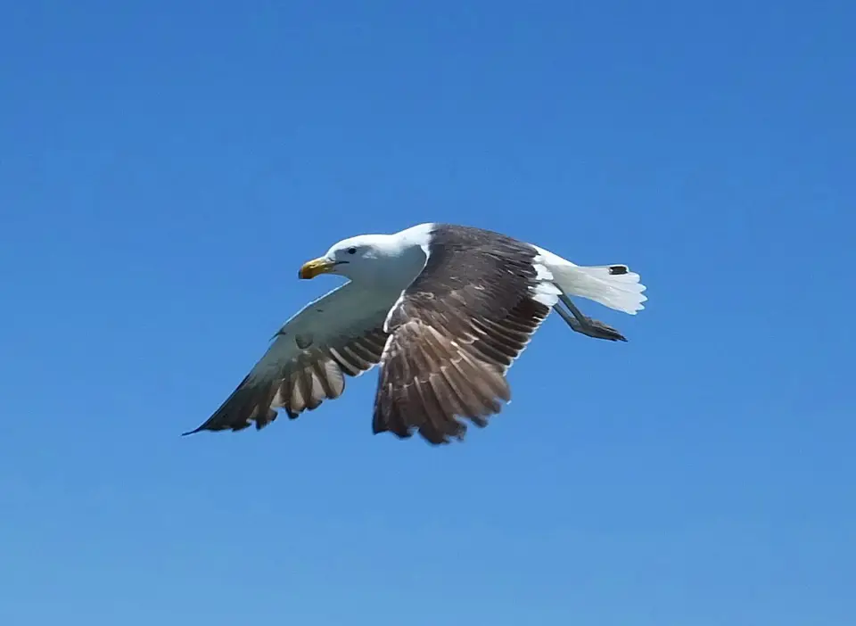 h25e4df4.jpg