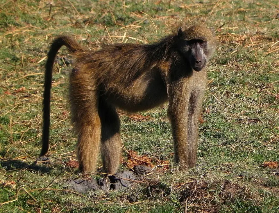 h348e854.JPG