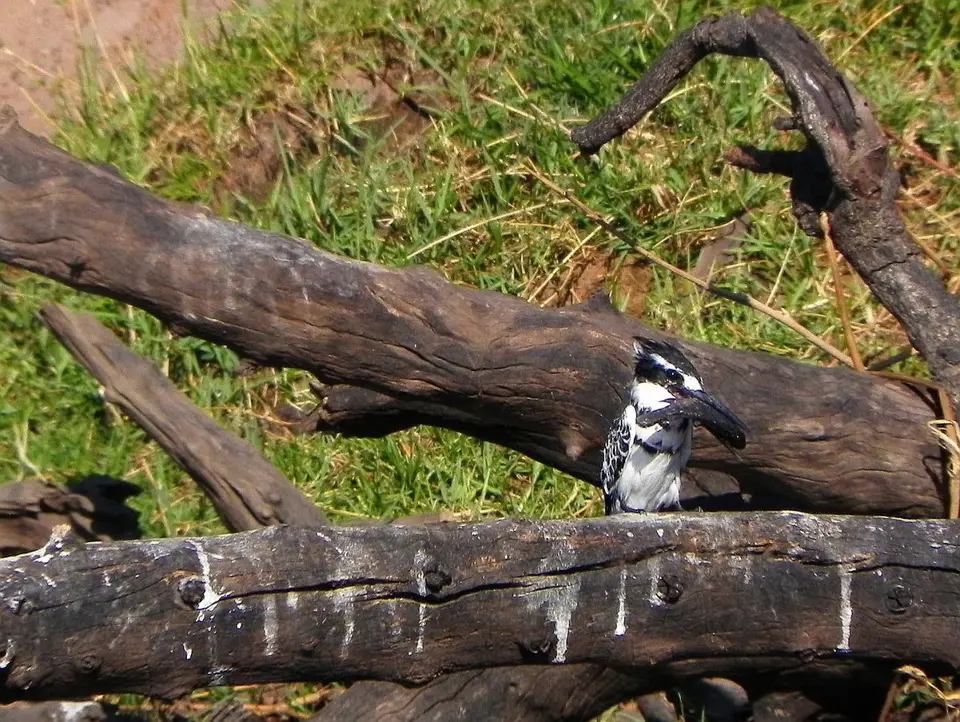 h3c65324.JPG