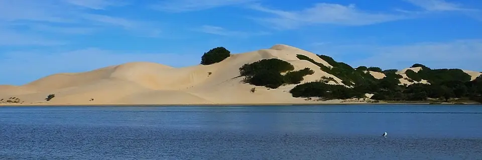 h50014c4.JPG
