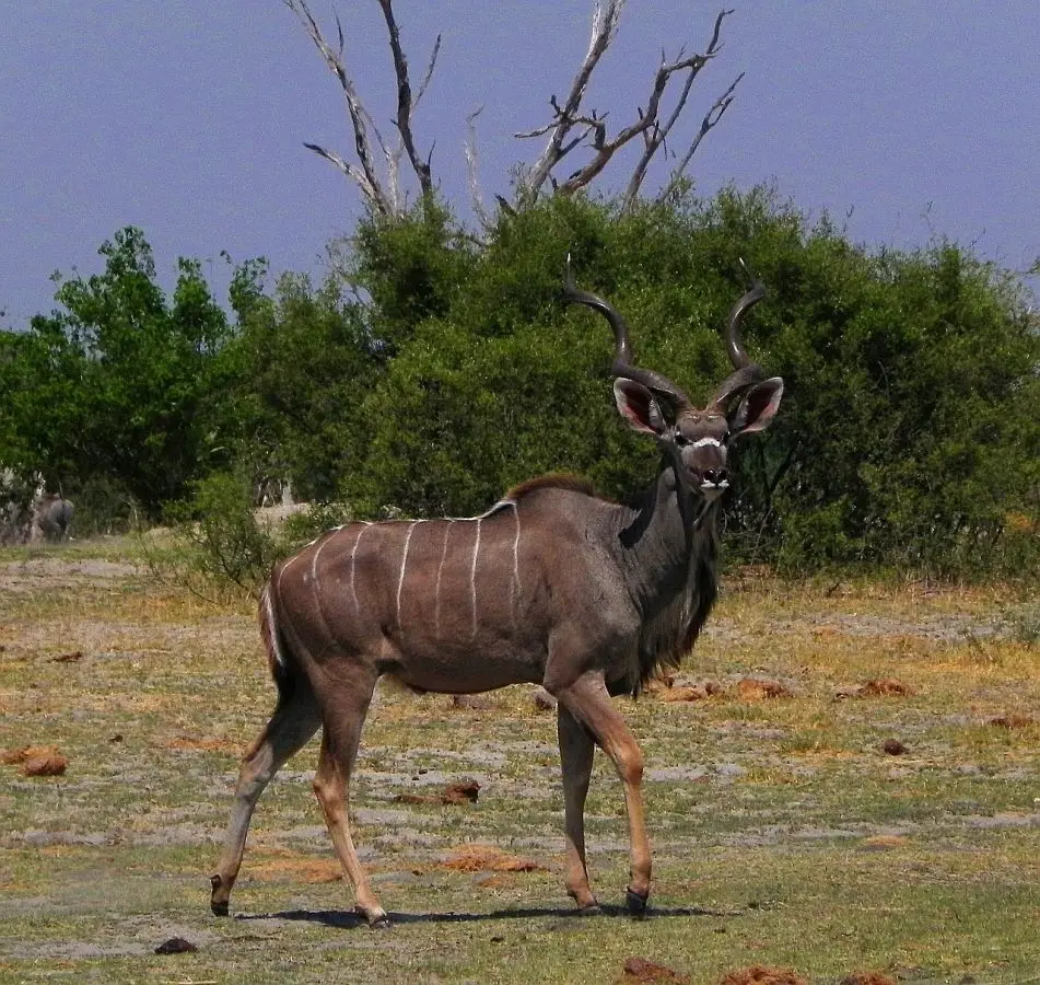 h64d90a4.JPG