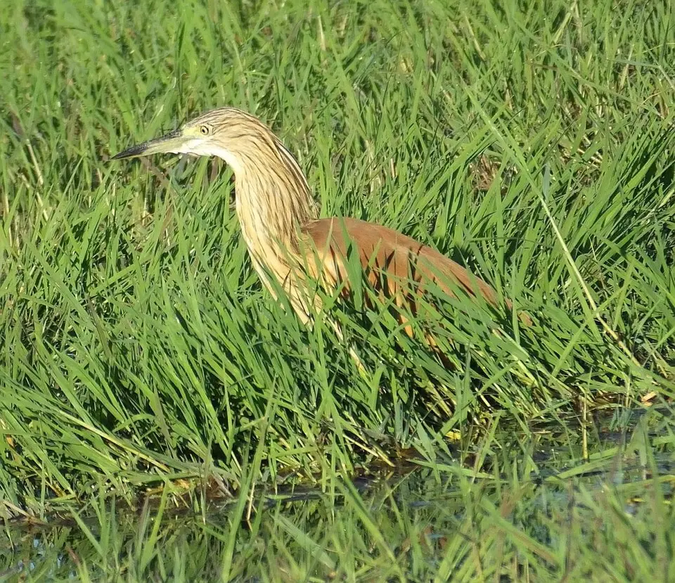 h6562501.jpg