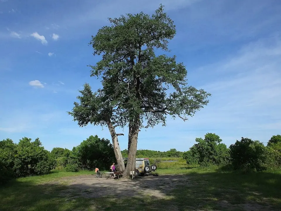 h7df4803.jpg