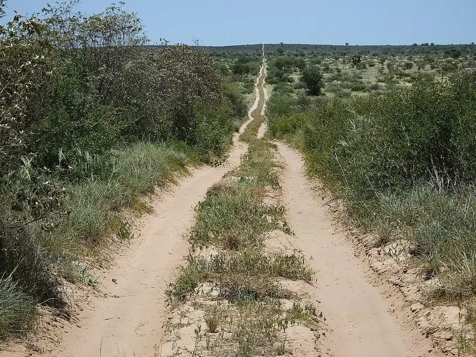hc6290c8.jpg
