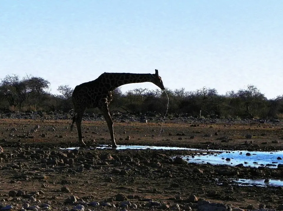 hfb26571.JPG