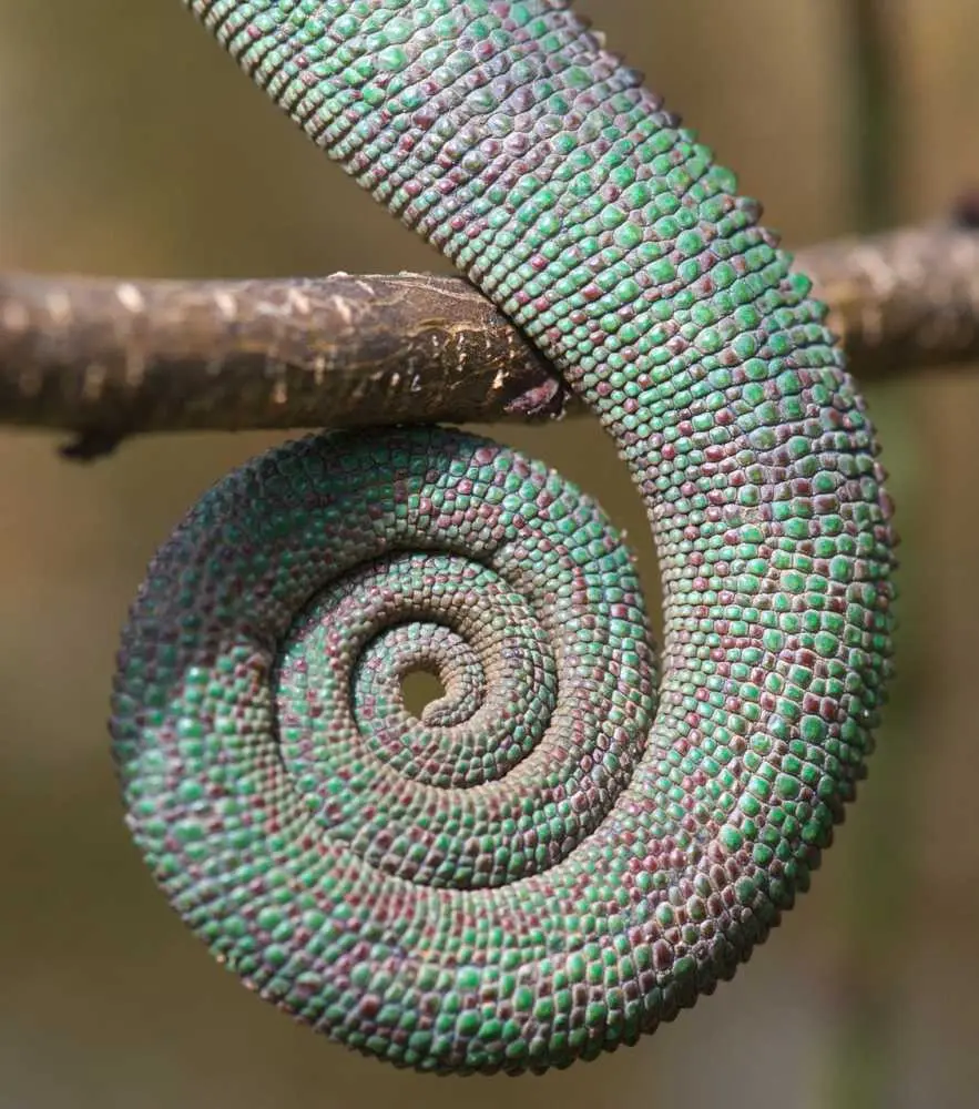DSC_1069_small.jpg