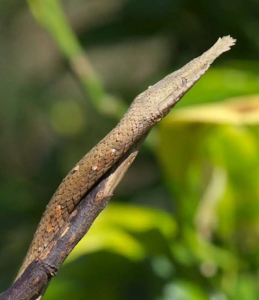 DSC_1196_small.jpg