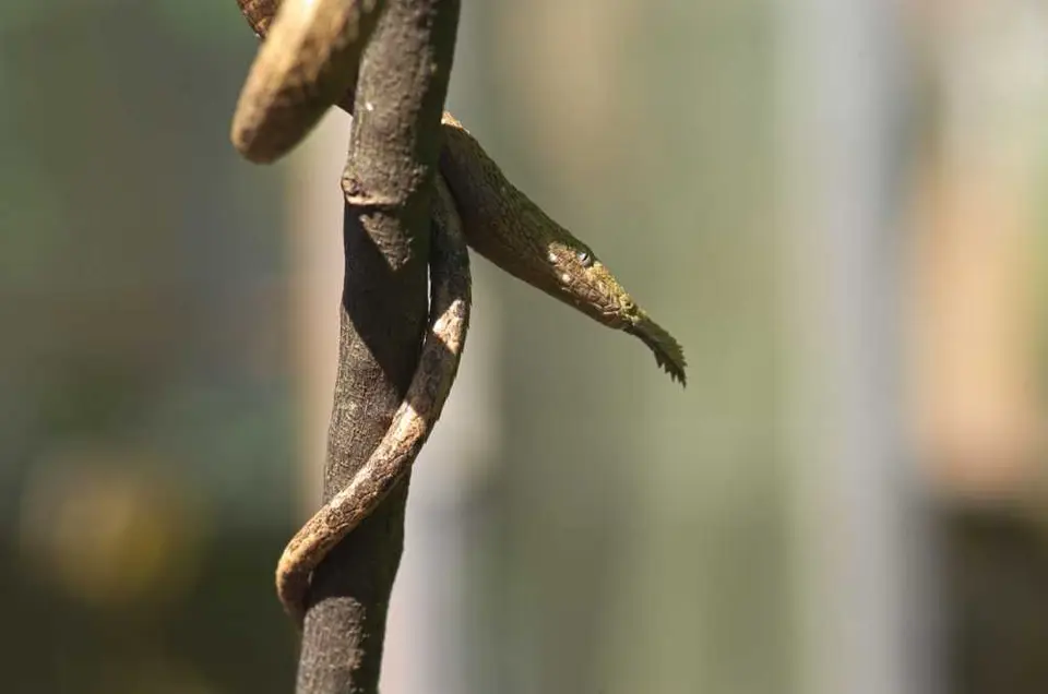 DSC_1205_small.jpg