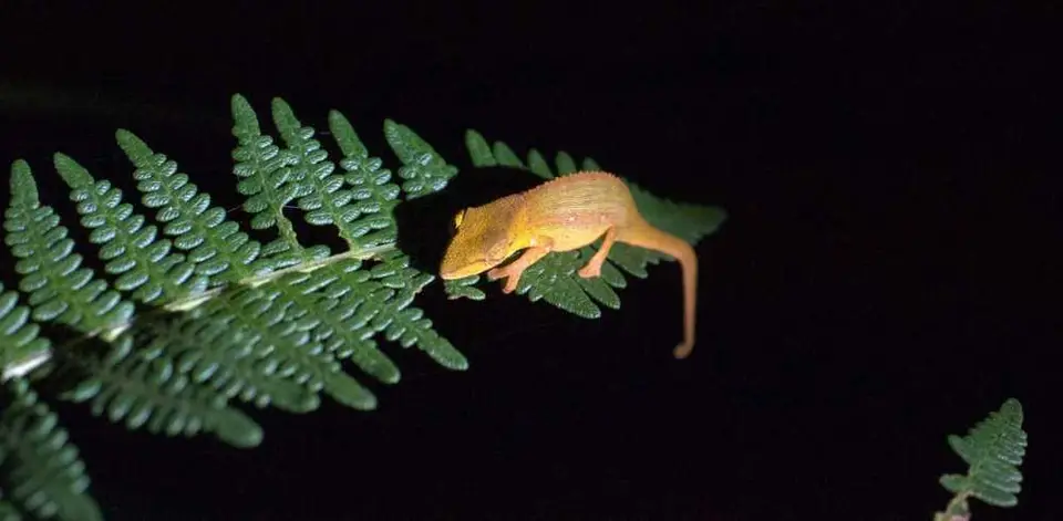 DSC_1278_small.jpg