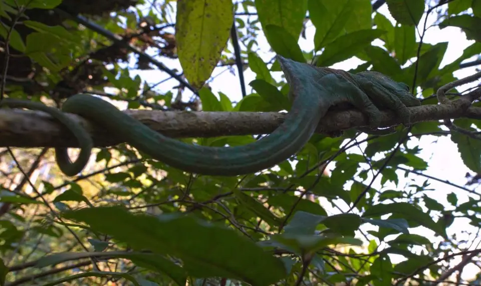 DSC_1751_small.jpg