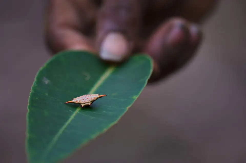 DSC_2552_small.jpg