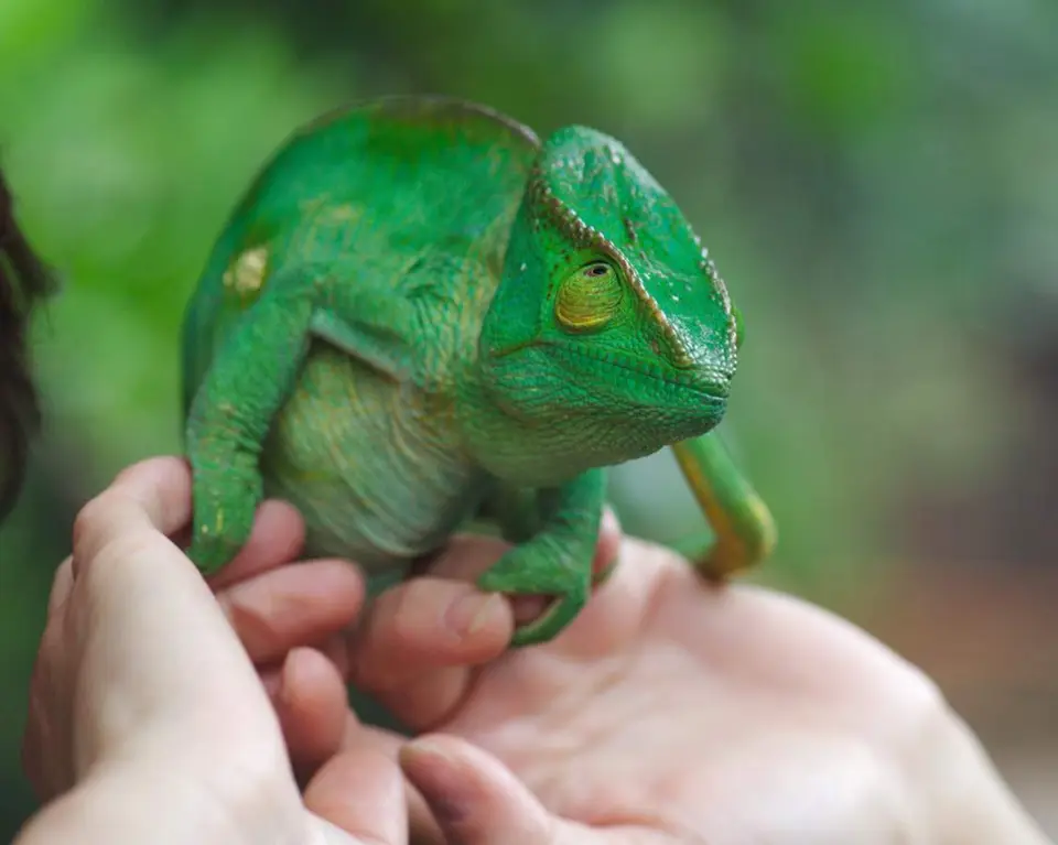 DSC_3200_small.jpg