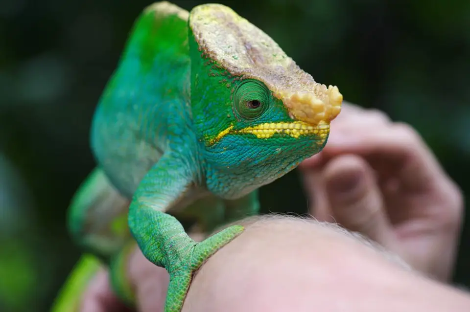 DSC_3271_small.jpg