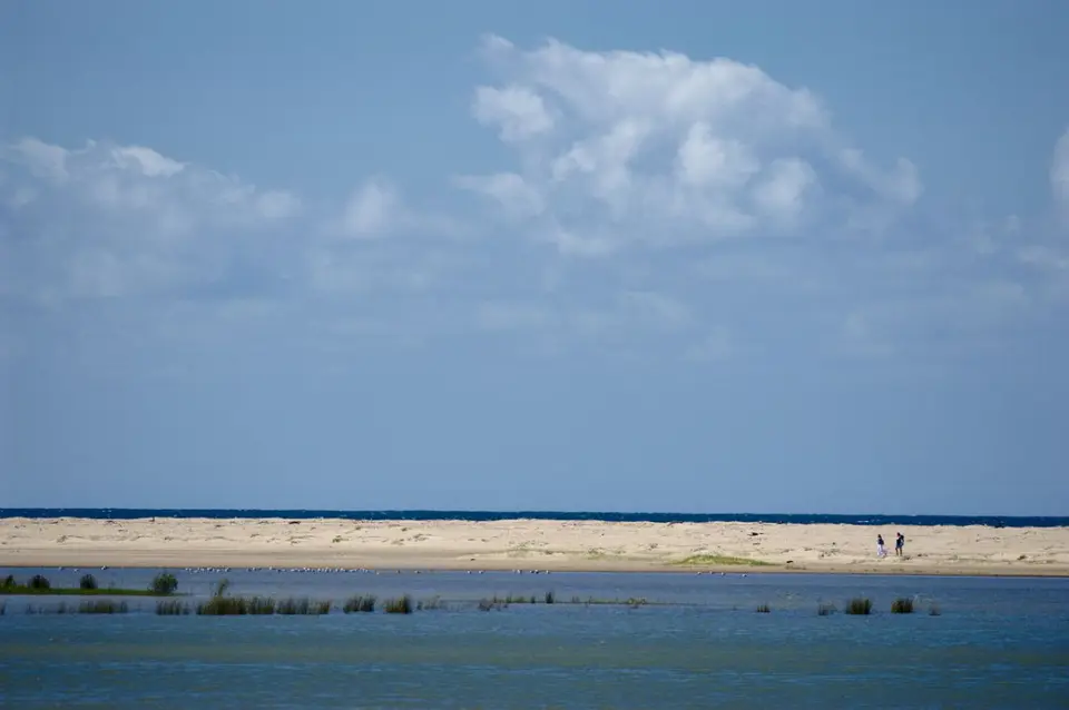 DSC_50277_small.jpg