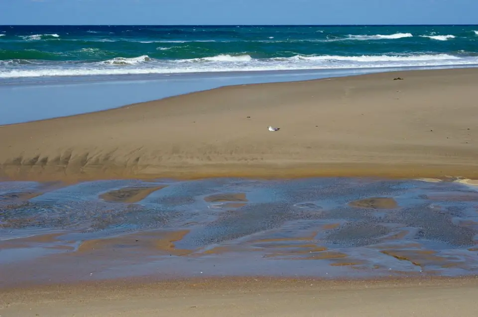 DSC_50348_small.jpg
