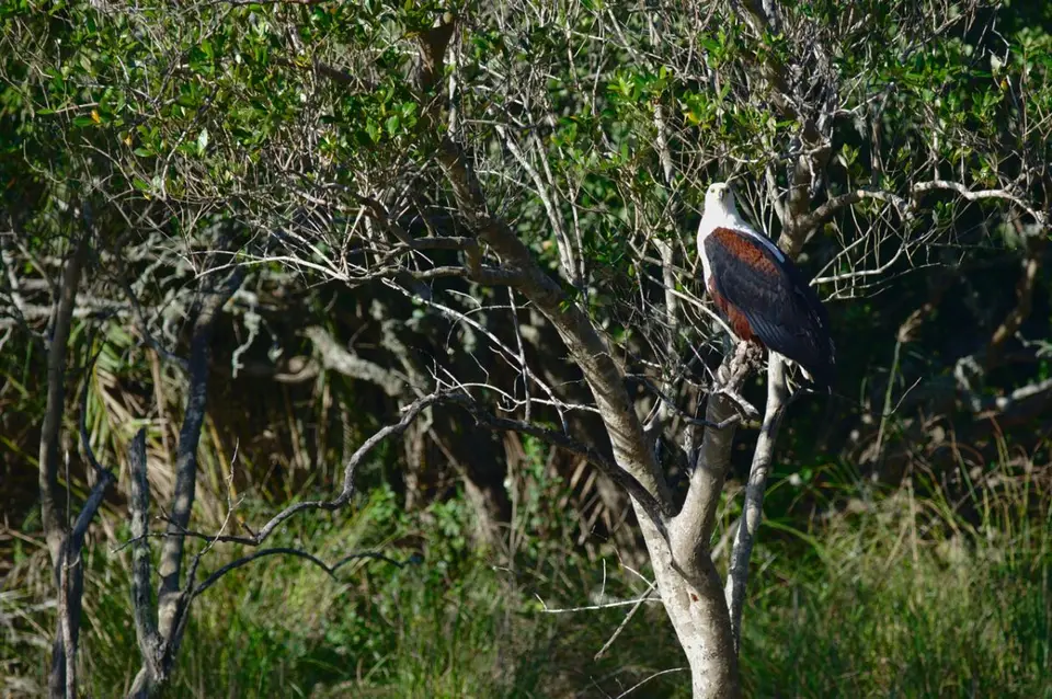 DSC_50362_small.jpg