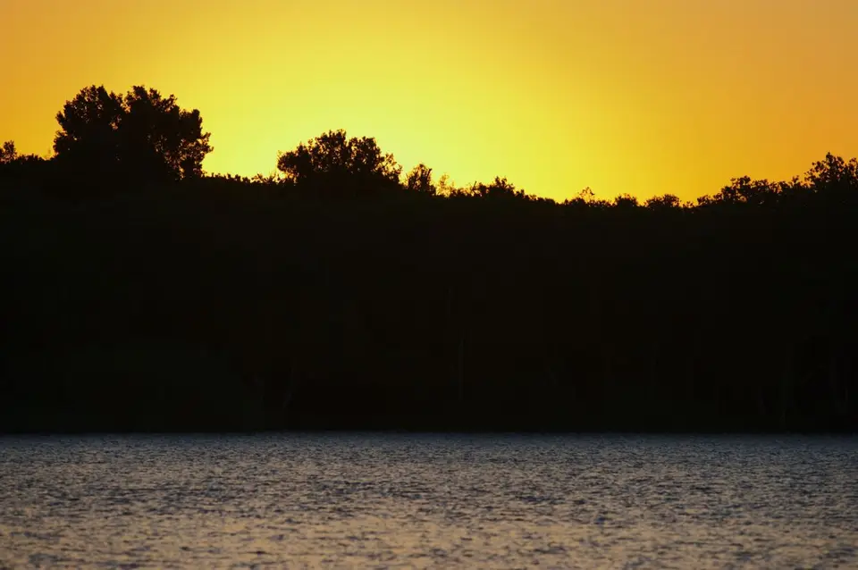 DSC_50700_small.jpg