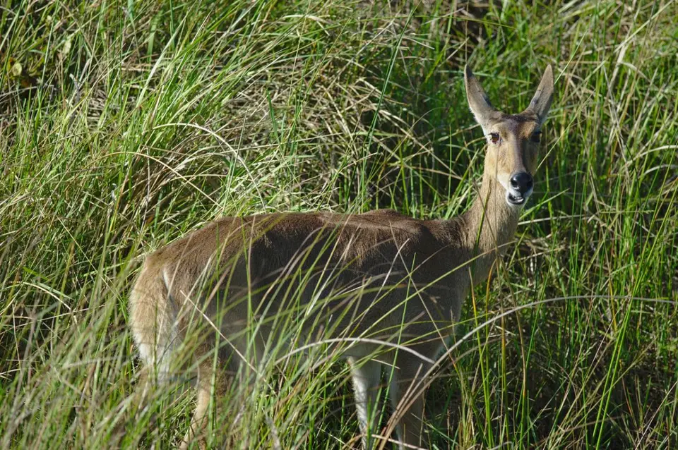 DSC_50812_small.jpg