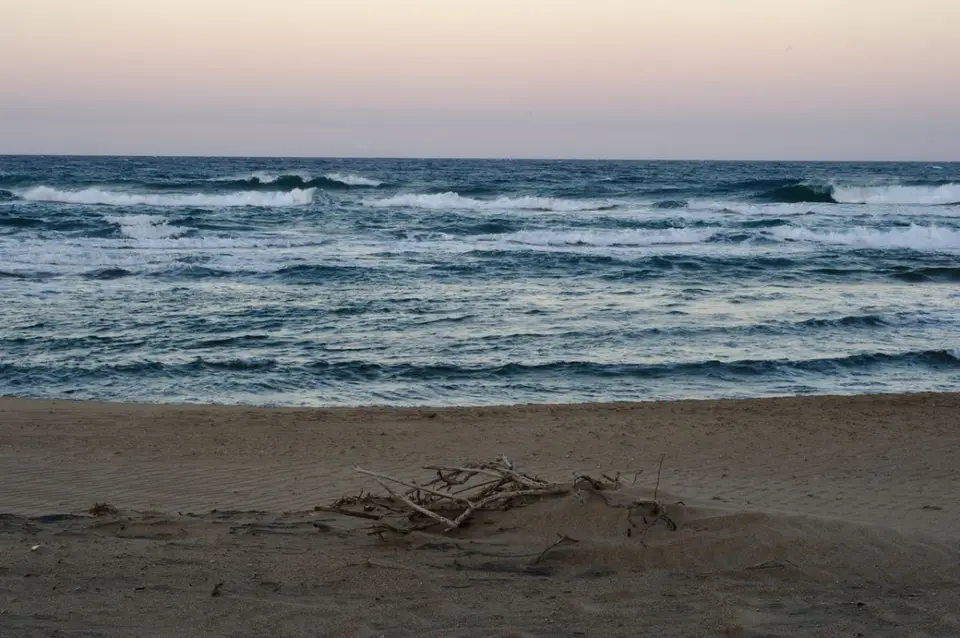 DSC_50974_small.jpg