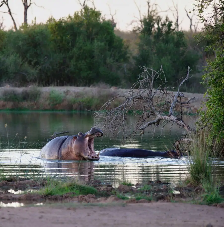 DSC_51561_small.jpg