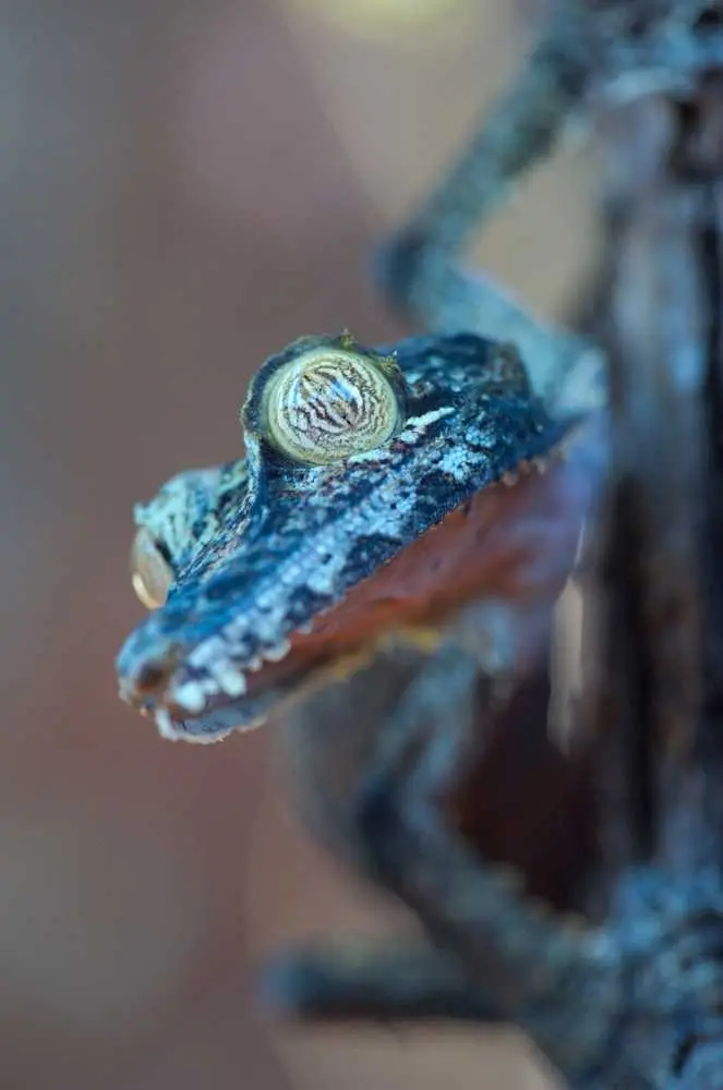 DSC_7522_small.jpg