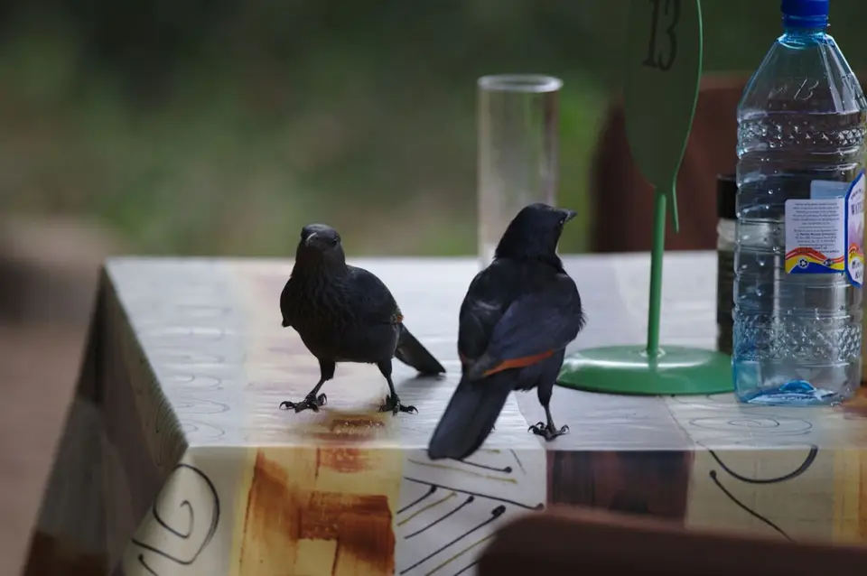 h4f200b1.jpg