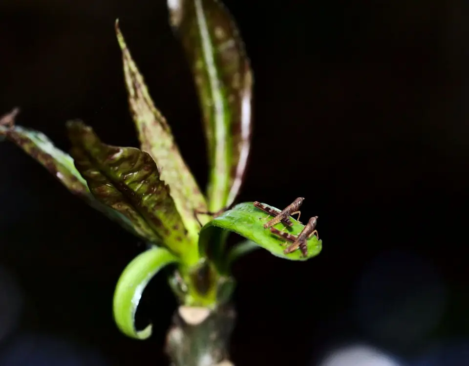 h5643f0b.jpg