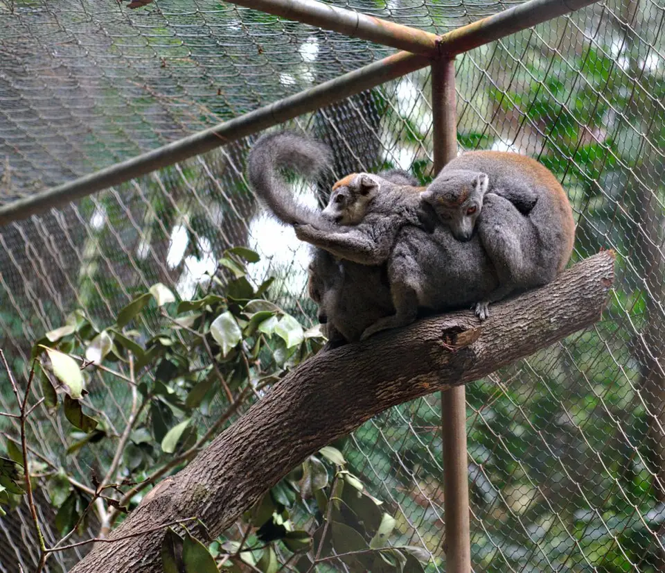 h7a064fd.jpg