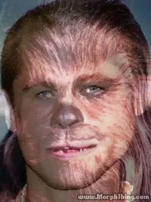 BradPitt-Chewbacca.jpg
