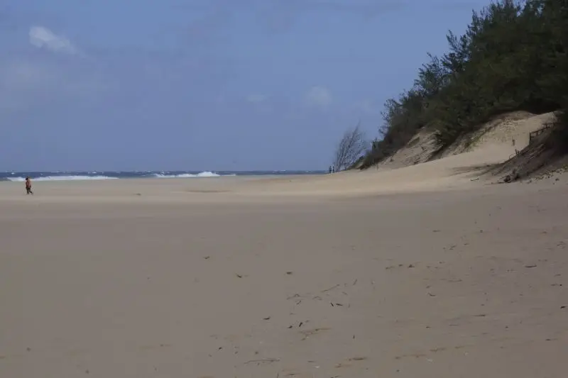 h35022d2.jpg