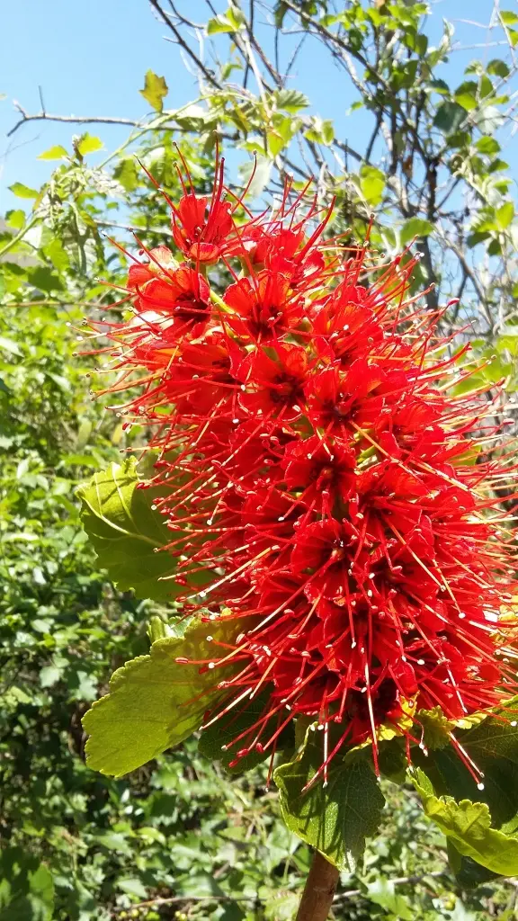 20181030_105327.jpg