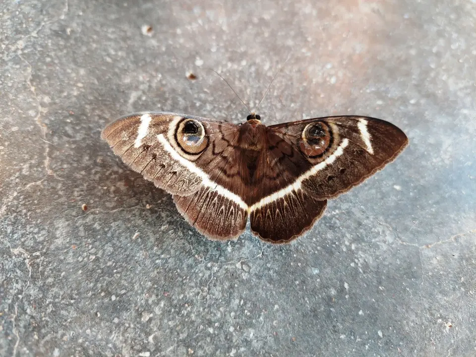 20220125_072536.jpg