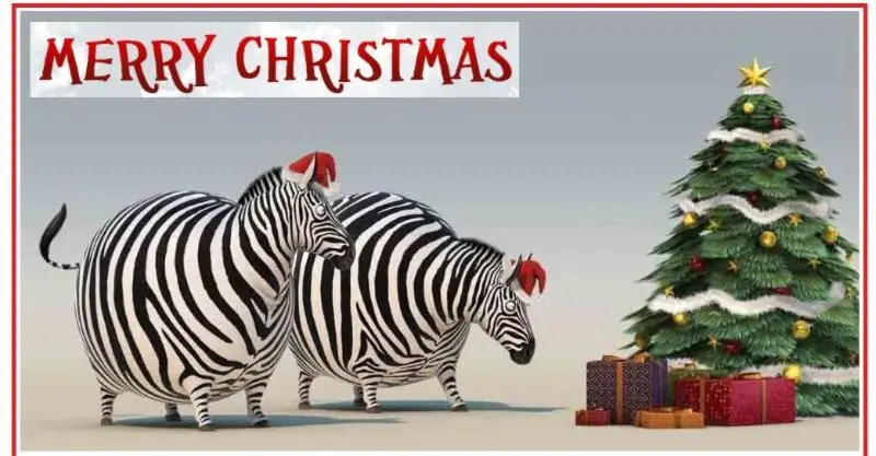 AfrikaWeihnacht3.jpg