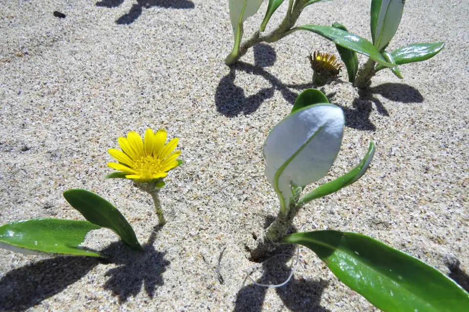 IMG_0804.JPG