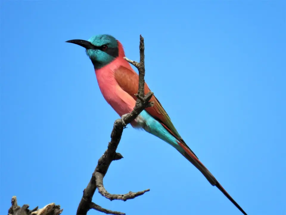 IMG_2355.JPG