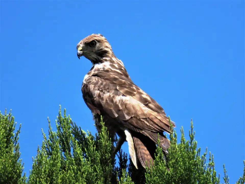 IMG_4567.JPG